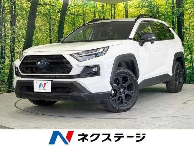 Toyota RAV4 2023 — фото 1, купить с доставкой в Москву
