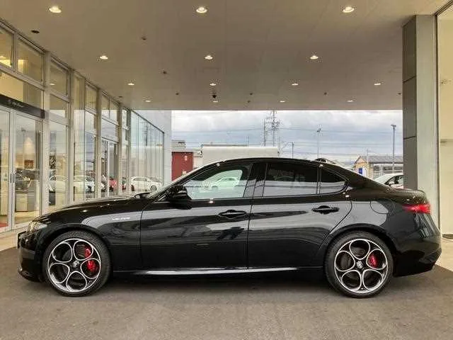 Alfa Romeo Alfa Romeo Others 2022 — миниатюра 5
