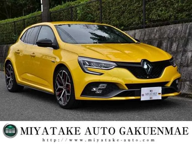 Renault Megane 2023 — фото 1, купить с доставкой в Москву