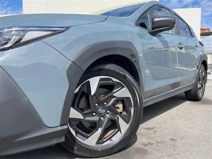 Subaru Subaru Others 2023 — миниатюра 5