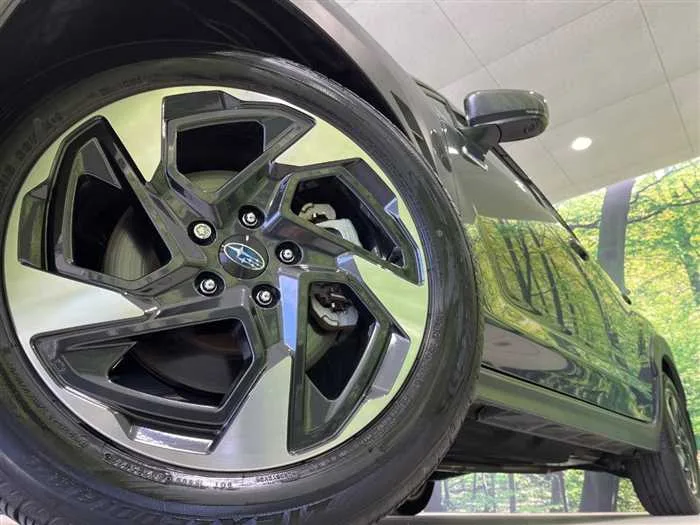 Subaru Subaru Others 2023 — миниатюра 4