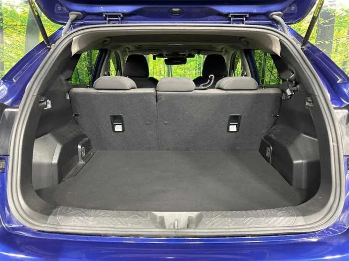 Subaru Subaru Others 2023 — миниатюра 5