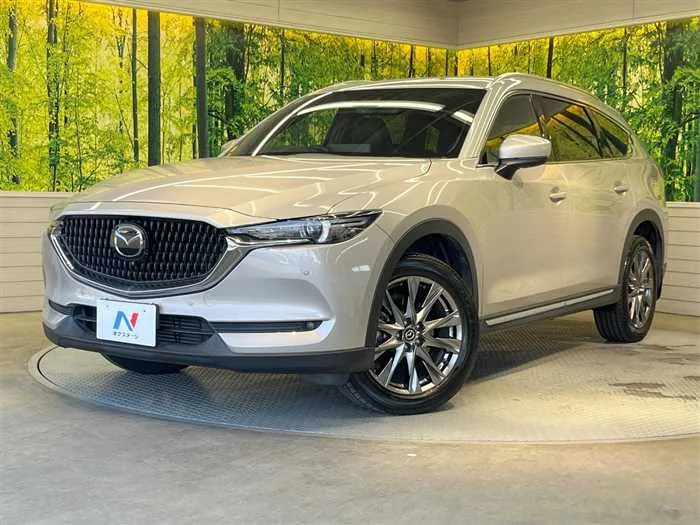 Mazda CX-8 2022 — фото 1, купить с доставкой в Москву