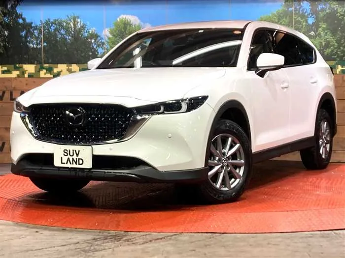 Mazda CX-8 2023 — фото 1, купить с доставкой в Москву