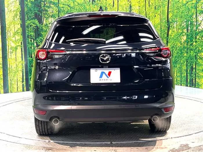 Mazda CX-8 2022 — миниатюра 4