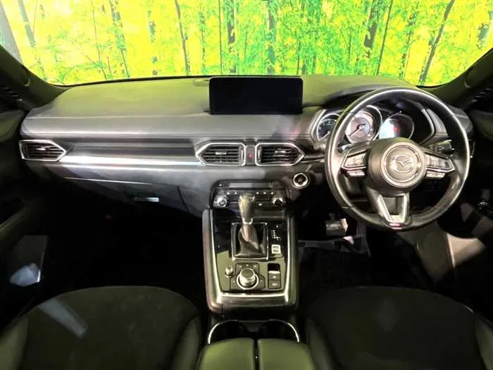 Mazda CX-8 2022 — миниатюра 3