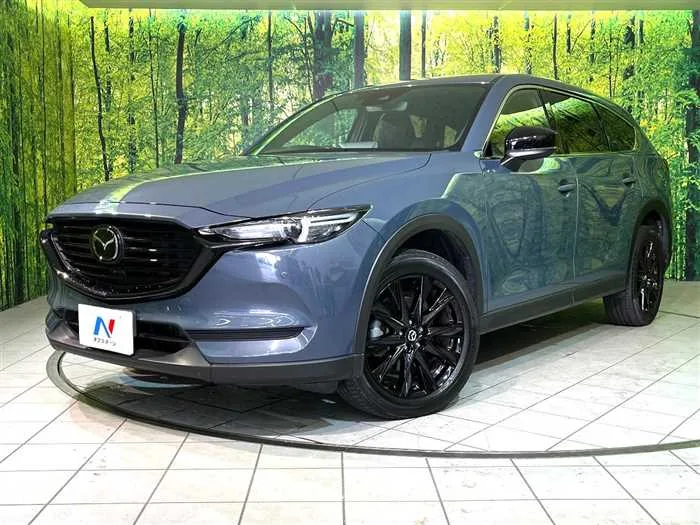 Mazda CX-8 2022 — фото 1, купить с доставкой в Москву