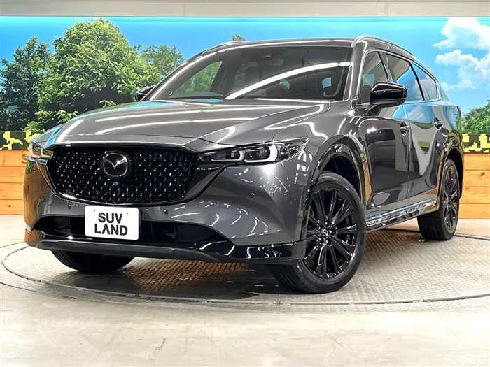Mazda CX-8 2023 — фото 1, купить с доставкой в Москву