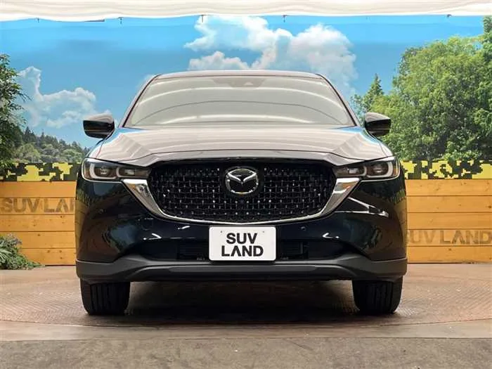 Mazda CX-8 2024 — миниатюра 3
