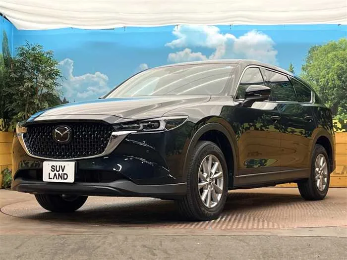 Mazda CX-8 2024 — миниатюра 5