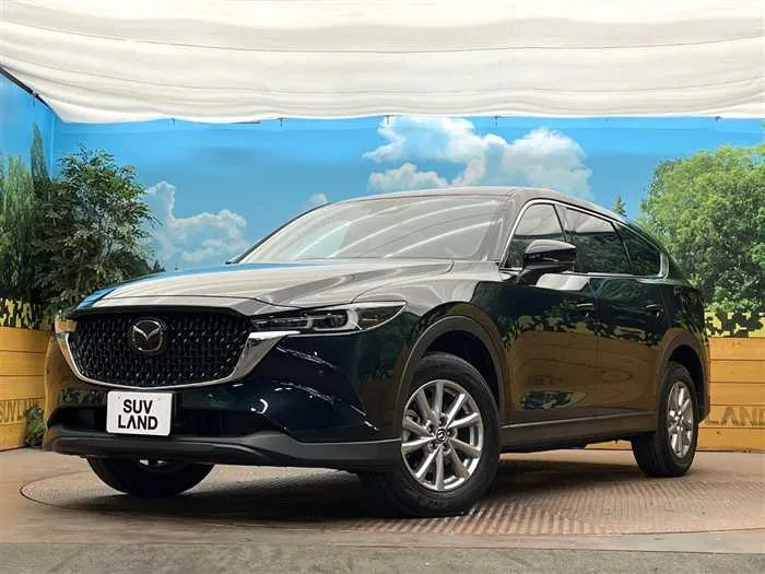 Mazda CX-8 2024 — фото 1, купить с доставкой в Москву