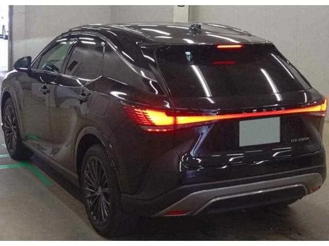 Lexus RX 2024 — миниатюра 3