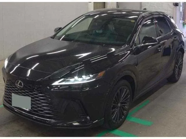 Lexus RX 2024 — миниатюра 5