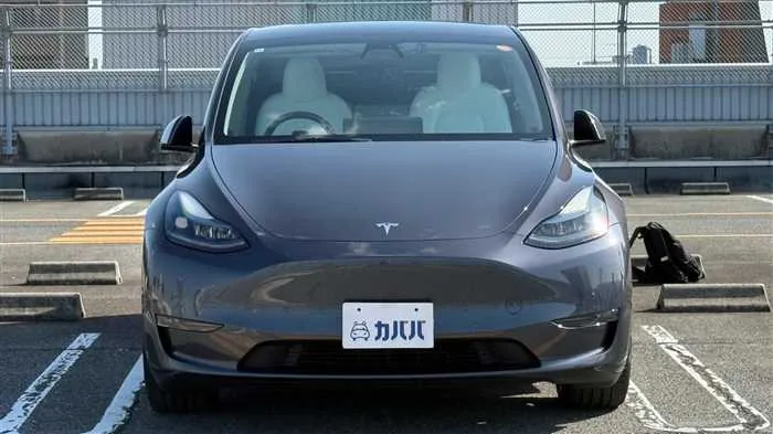 Tesla Motors Others 2022 — миниатюра 2