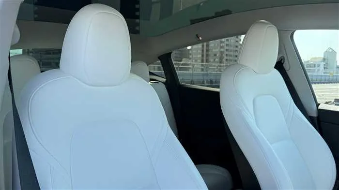 Tesla Motors Others 2022 — миниатюра 3
