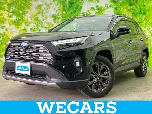 Toyota RAV4 2023 — фото 1, купить с доставкой в Москву