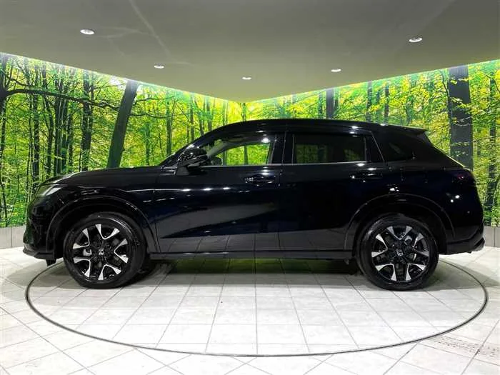 Honda Honda Others 2024 — миниатюра 3