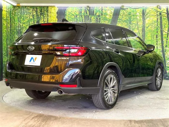 Subaru Subaru Others 2024 — миниатюра 4