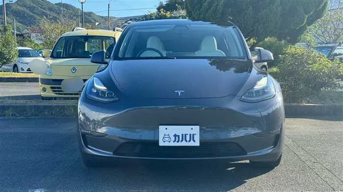 Tesla Motors Others 2022 — миниатюра 2