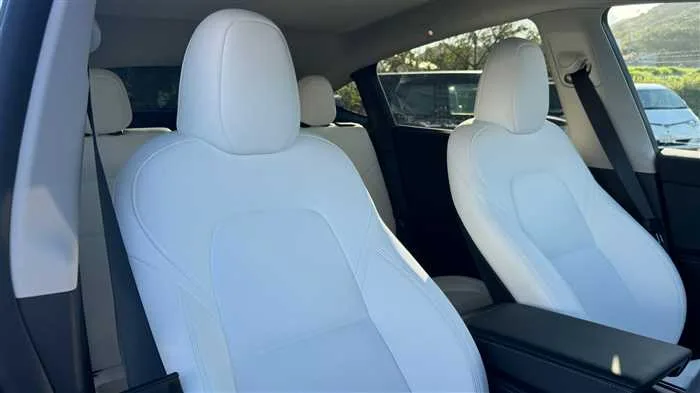 Tesla Motors Others 2022 — миниатюра 3
