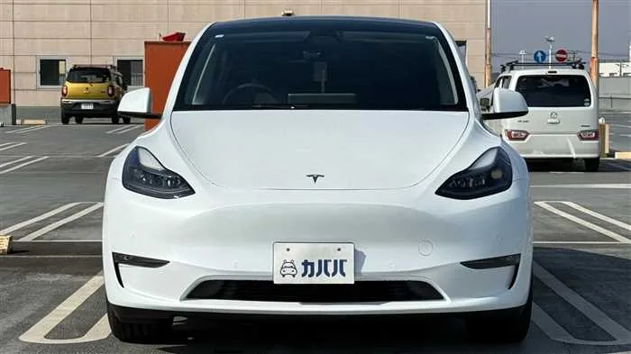 Tesla Motors Others 2023 — миниатюра 2