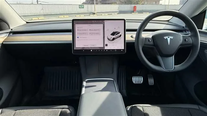 Tesla Motors Others 2023 — миниатюра 5