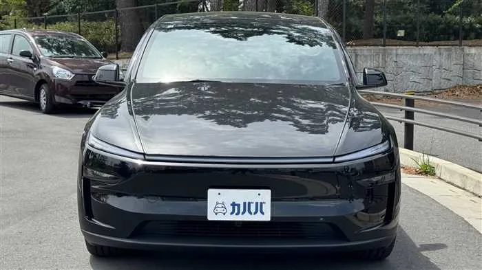 Tesla Motors Others 2026 — миниатюра 2