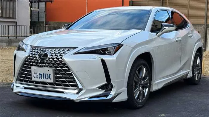 Lexus UX 300h 2025 — фото 1, купить с доставкой в Москву