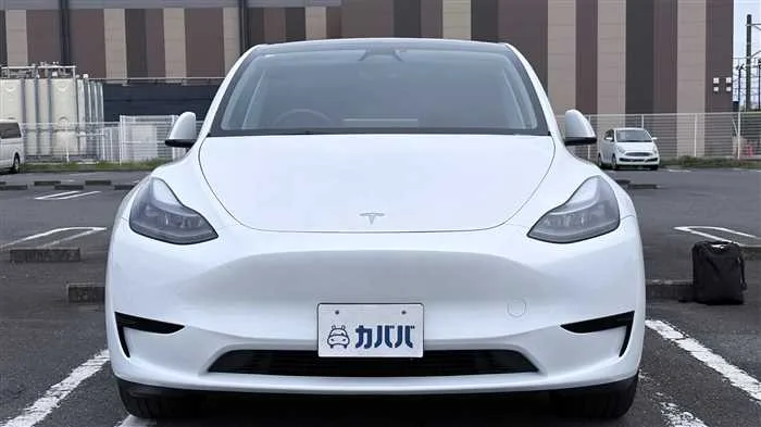 Tesla Motors Others RWD 2025 — миниатюра 2