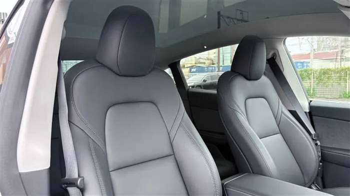 Tesla Motors Others RWD 2025 — миниатюра 3