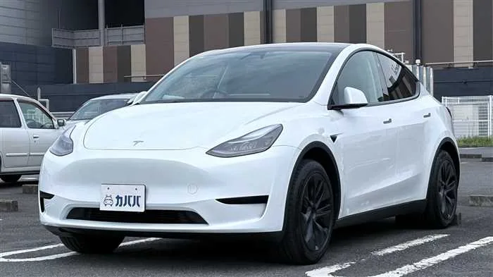 Tesla Motors Others RWD 2025 — фото 1, купить с доставкой в Москву