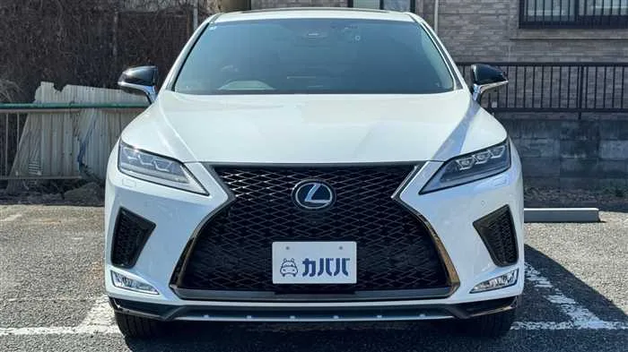 Lexus RX 300 F 2022 — миниатюра 2