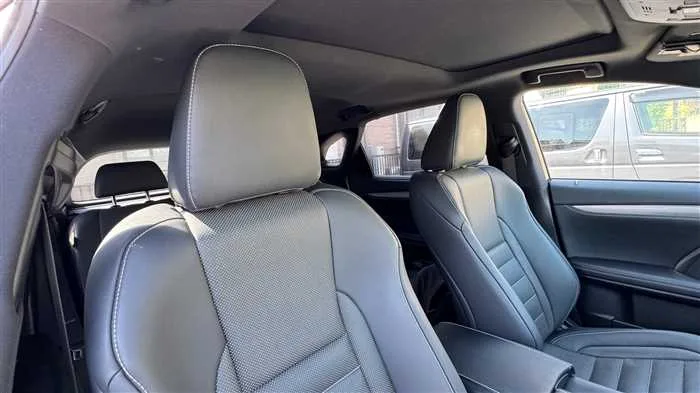 Lexus RX 300 F 2022 — миниатюра 3