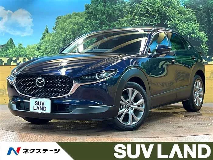 Mazda Mazda Others 2024 — миниатюра 4