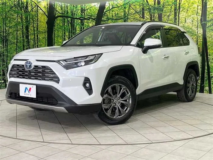 Toyota RAV4 2023 — фото 1, купить с доставкой в Москву