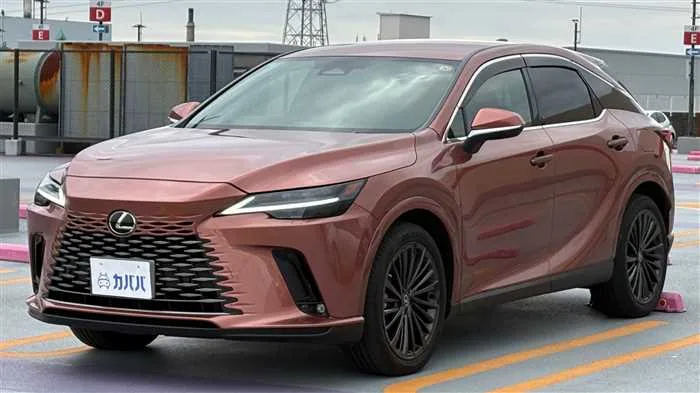 Lexus RX 450h+ L 2023 — фото 1, купить с доставкой в Москву