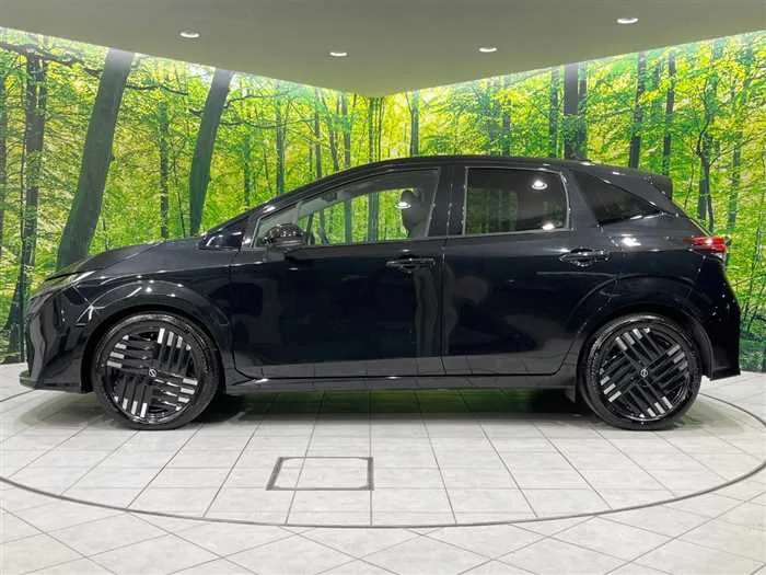 Nissan Nissan Others 2024 — миниатюра 4