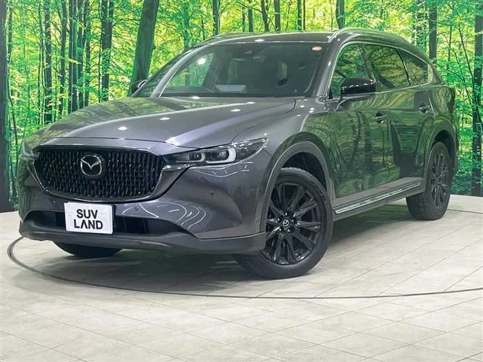 Mazda CX-8 2023 — фото 1, купить с доставкой в Москву