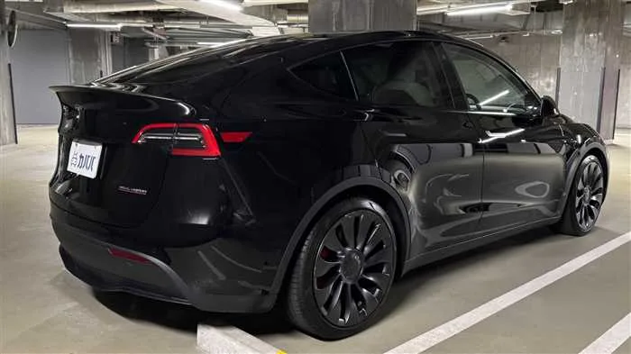 Tesla Motors Others 2024 — миниатюра 4