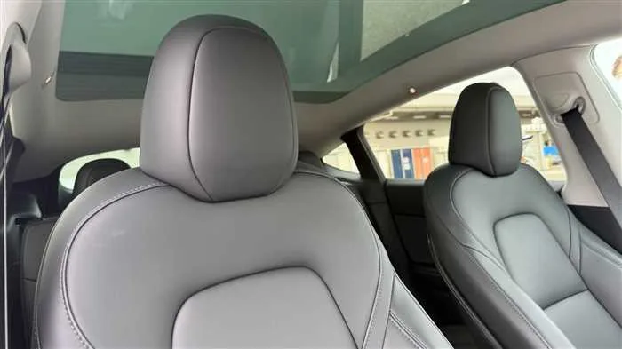 Tesla Motors Others 2023 — миниатюра 3