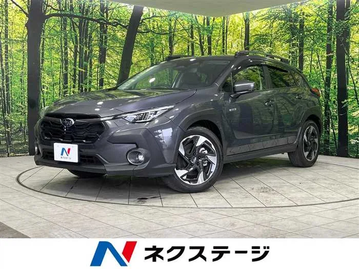 Subaru Subaru Others 2023 — миниатюра 4