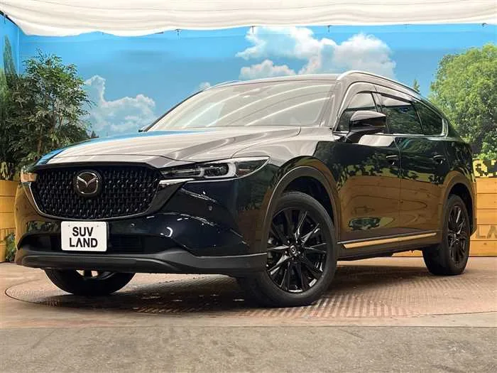 Mazda CX-8 2023 — фото 1, купить с доставкой в Москву