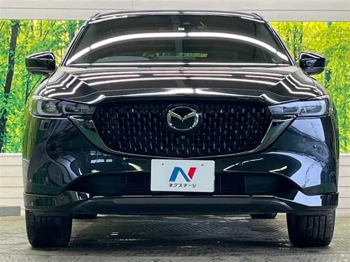 Mazda CX-8 2023 — миниатюра 3