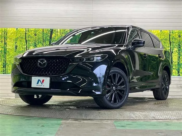 Mazda CX-8 2023 — фото 1, купить с доставкой в Москву