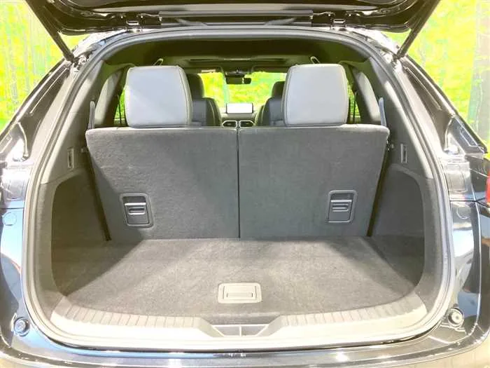 Mazda CX-8 2023 — миниатюра 3