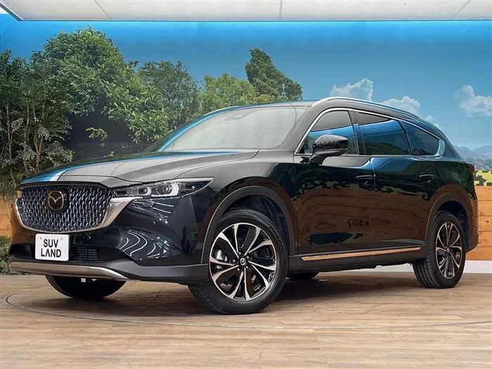 Mazda CX-8 2023 — фото 1, купить с доставкой в Москву