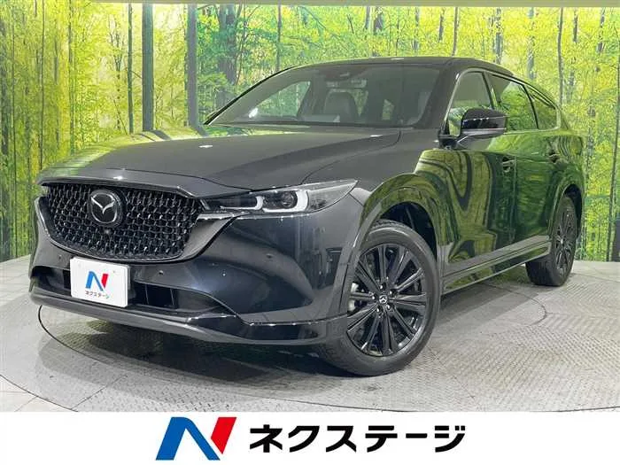 Mazda CX-8 2023 — миниатюра 4