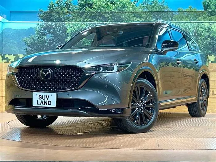 Mazda CX-8 2023 — фото 1, купить с доставкой в Москву
