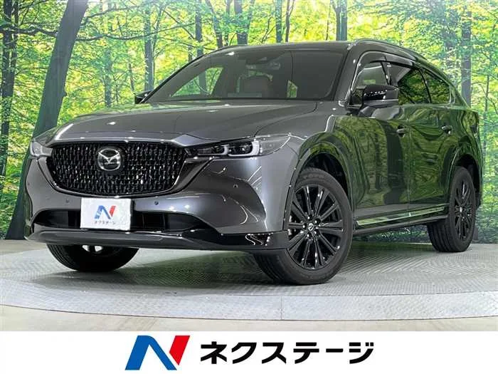 Mazda CX-8 2023 — миниатюра 4