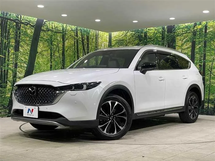 Mazda CX-8 2024 — фото 1, купить с доставкой в Москву